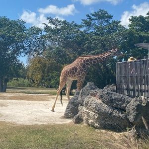 Meet your Posher, Eden